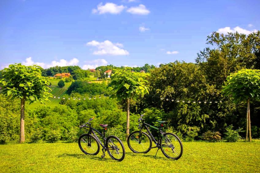 House AdaliA - foto 24