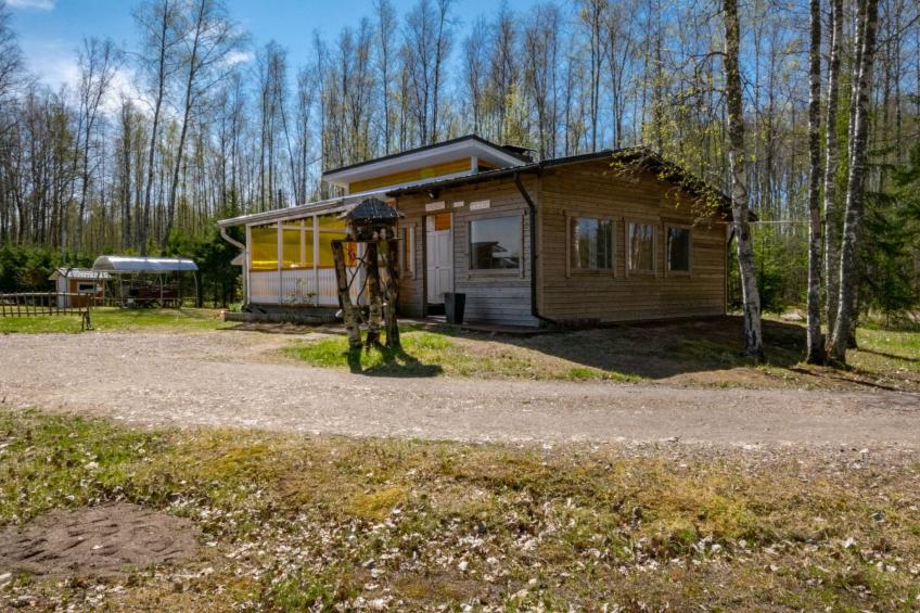 Lokki - foto 2