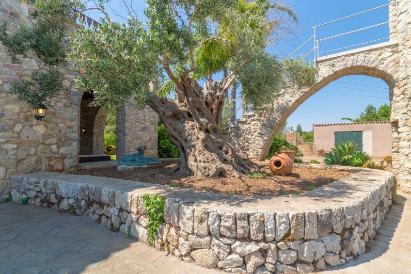 Buitre negro, Finca 5StarsHome Mallorca - foto 30