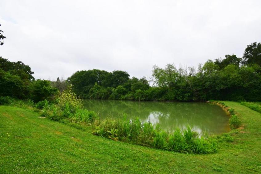 Ecolodge en Sequoia - foto 37