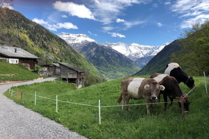 Berghof-Gufel - foto 3