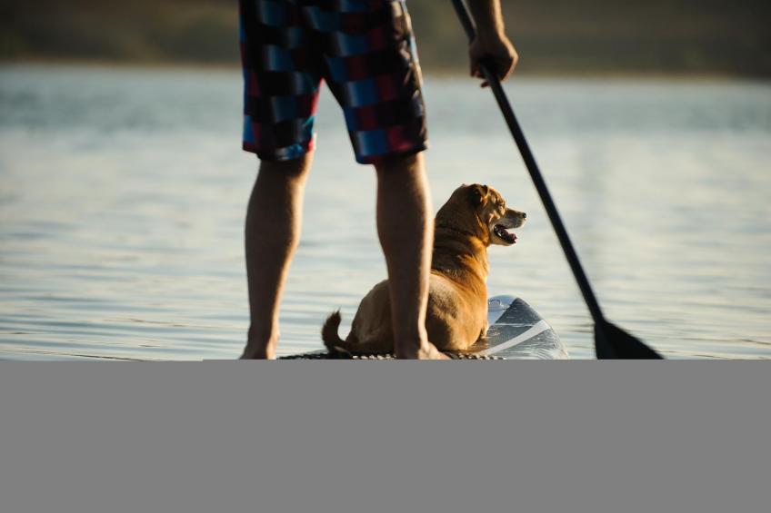 1 Queen Bed  Mobil Access Tub Nsmk Micfridg - foto 23