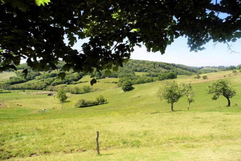 Les Deux Cabanons - foto 36