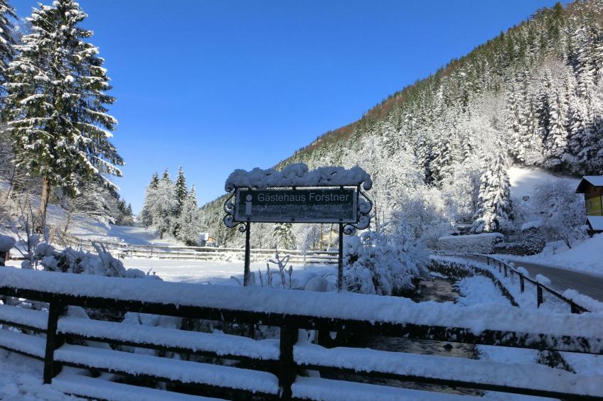 Eulenrast in Loich - foto 26