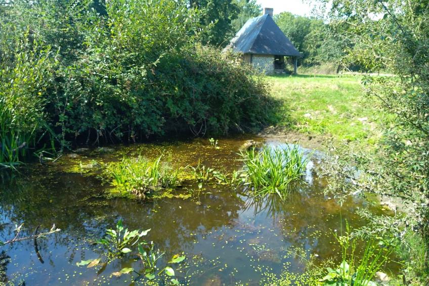 "La Petite Cauvinière" - foto 8