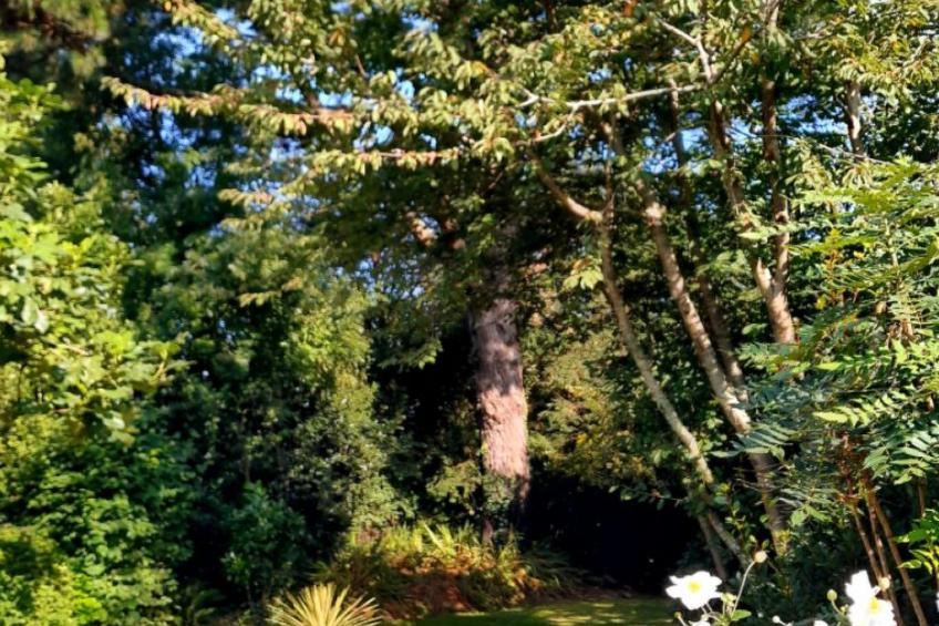 Haus auf der Halbinsel Plougastel - foto 13