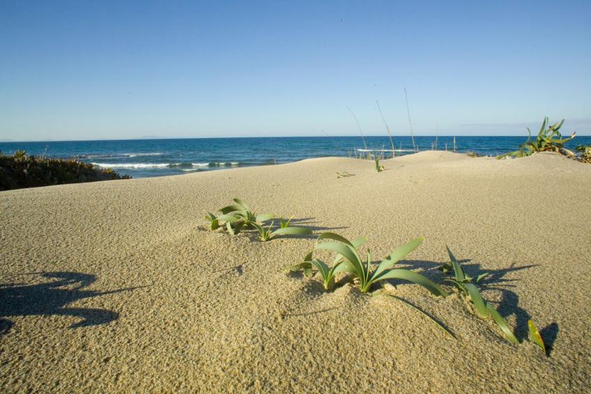 Casa Margherita (PAM200) - foto 40