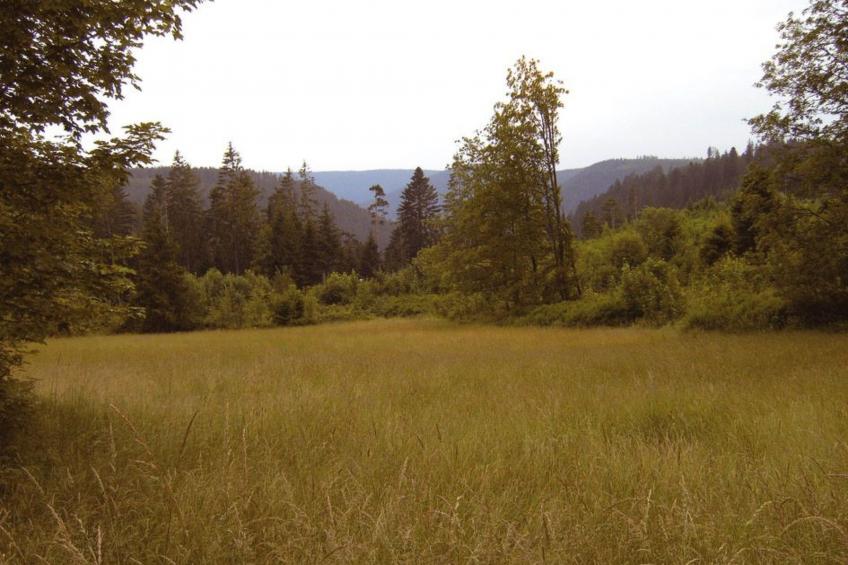 Landhaus Graf - foto 11