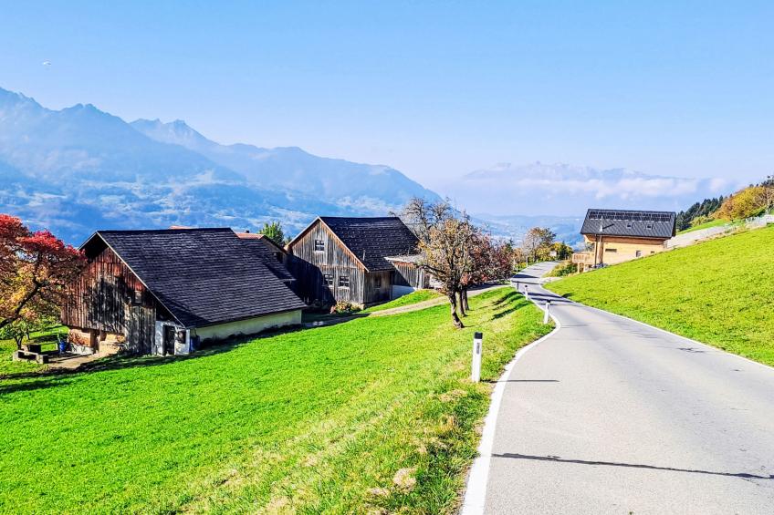Dünser in Dünserberg - foto 17