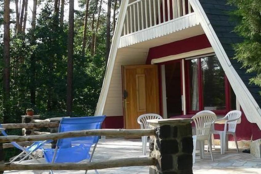 in ruhiger Lage am Waldrand mit Terrasse und großem Grundstück - foto 2