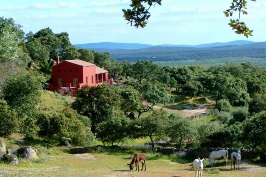 Das Cortijo auf der Finca al-manzil