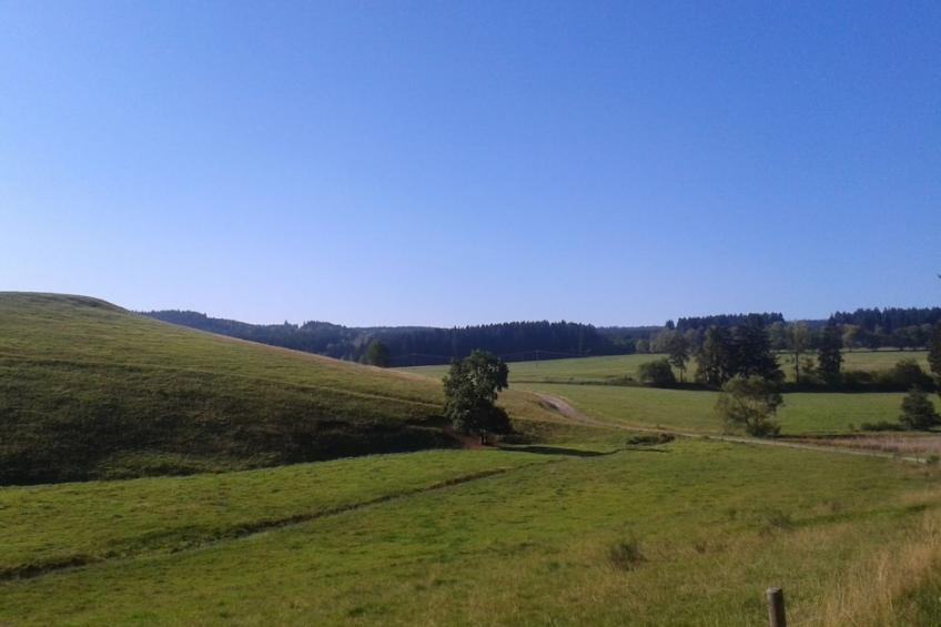 268187 - foto 21