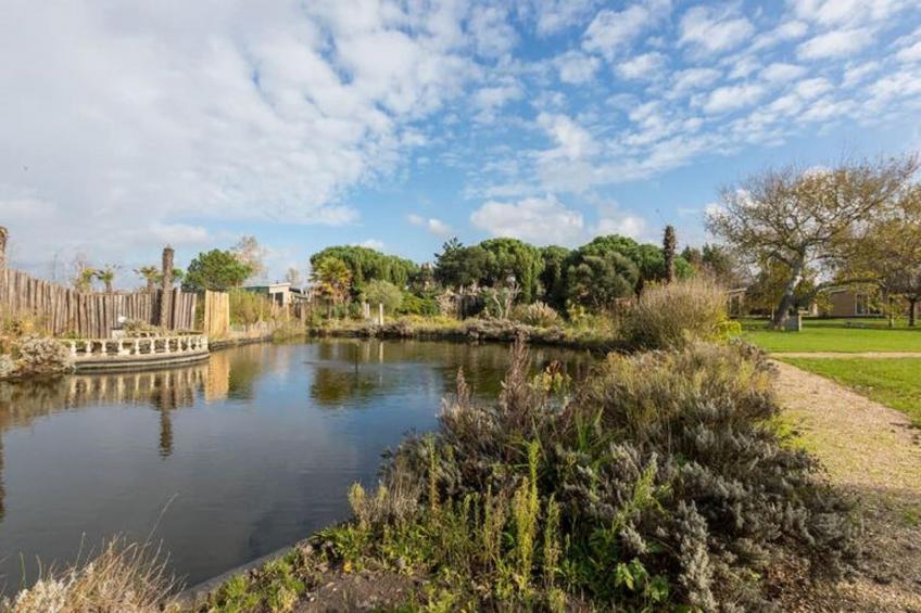 Fort den Haak - Chalet 1 tm 5  hond - foto 23