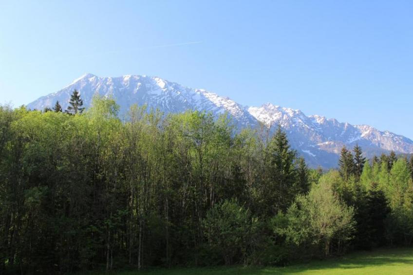 Panorama - foto 24