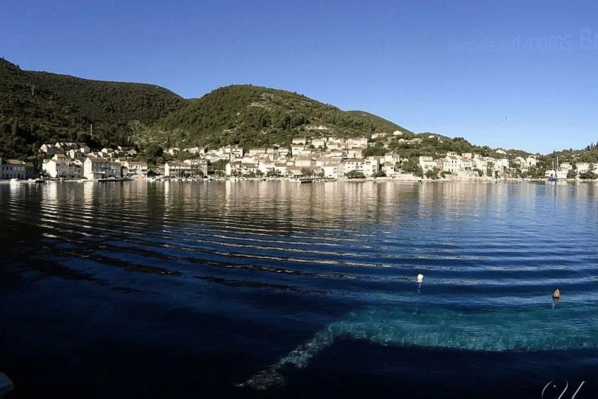 mit Wasserblick - foto 11