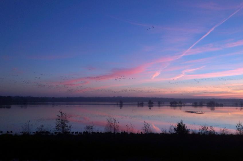 Geltinger Birk - foto 34