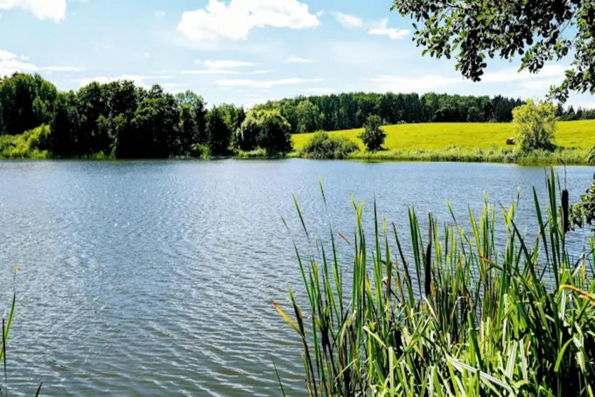 Feldblick 2 - foto 26