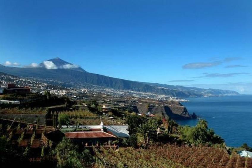 Wohnung in La Matanza De Acentejo mit Terrasse, gemeinsamem Pool und Garten - foto 3