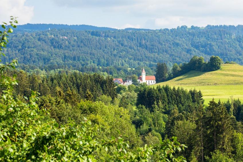 "Obstwiese" - foto 22