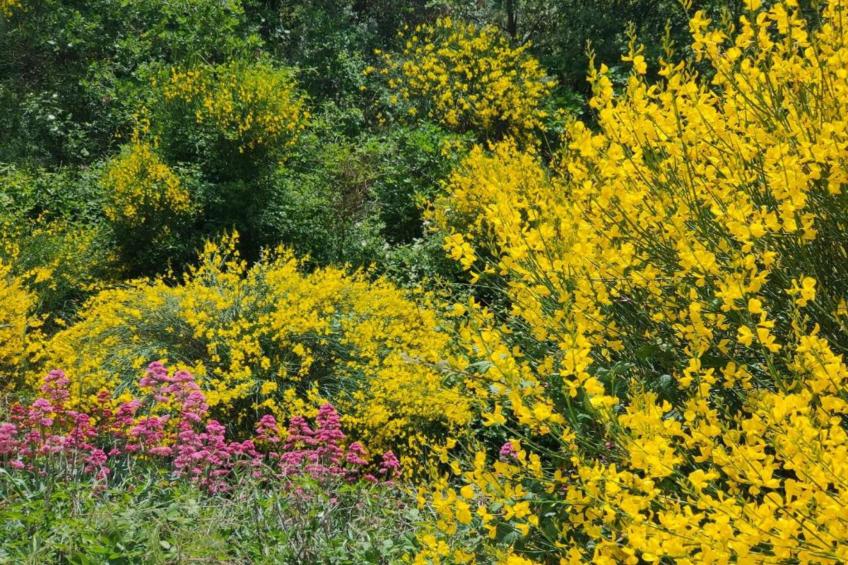 La Bastide des Chênes - foto 30
