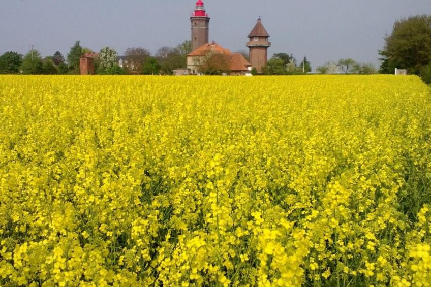 Finkenbusch - foto 19