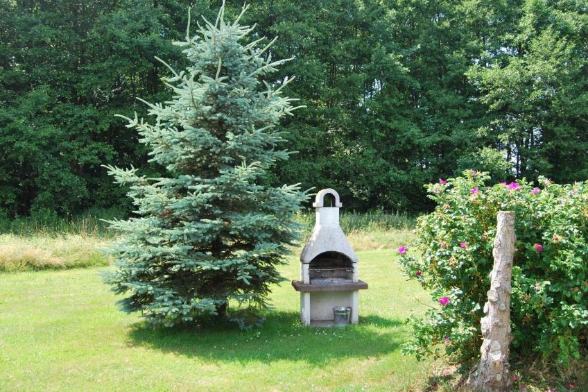 Fewo Stricker 33 - foto 17