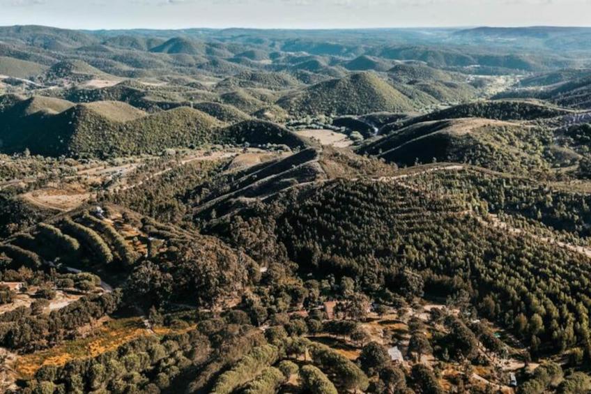 The Lemon Lodge - Tikka Suite - foto 24