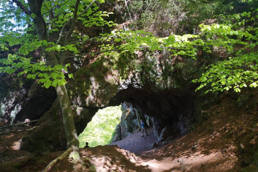 Am Sandberg - foto 27