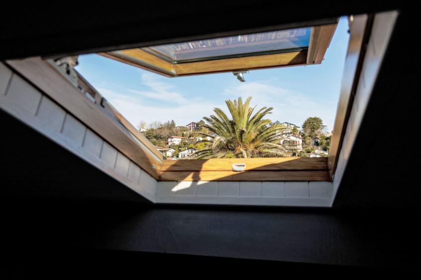 Barasteguia - foto 12