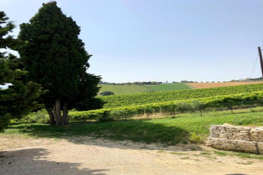 Apartment Ortica - foto 38