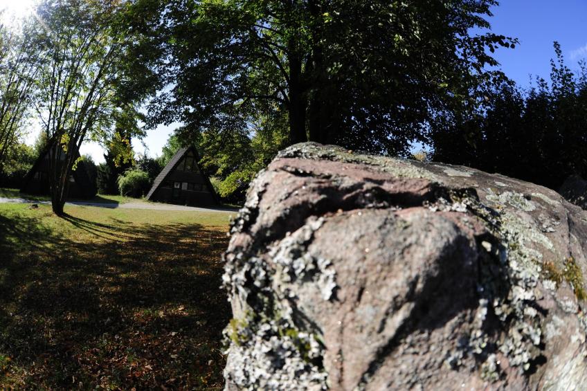 Feriendorf Waldbrunn - foto 31