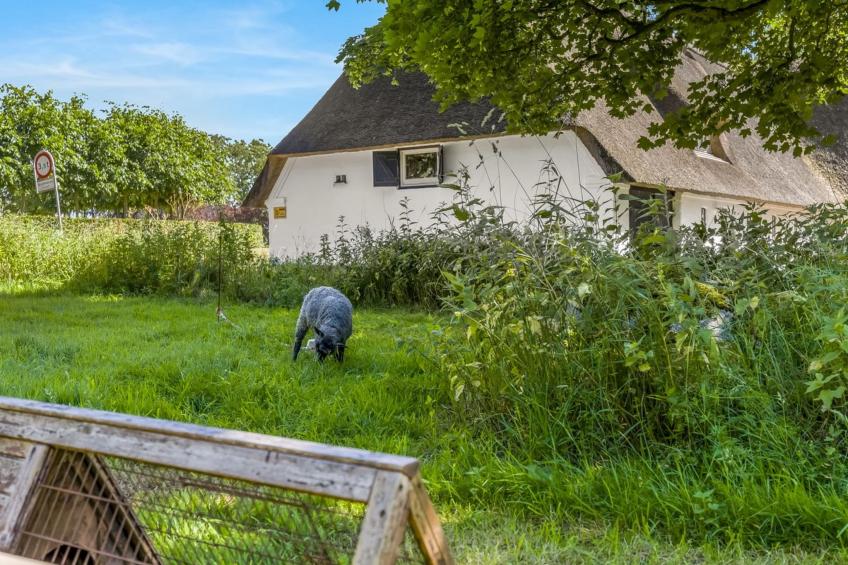 "Thilo" - 39km from the sea - foto 29
