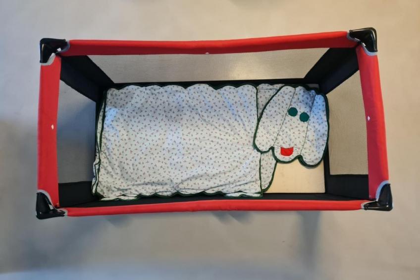 mit Bergblick - foto 14