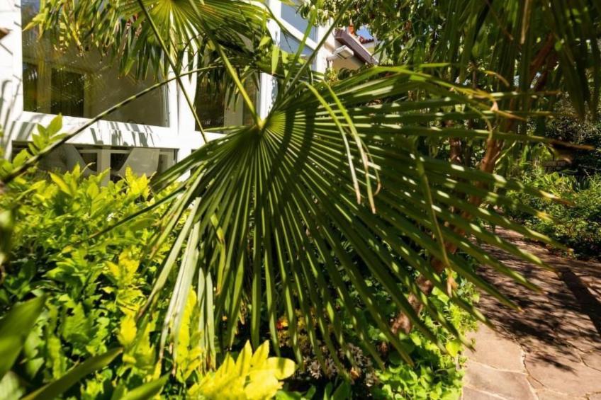 Wohnung in Lucija mit Garten - foto 8