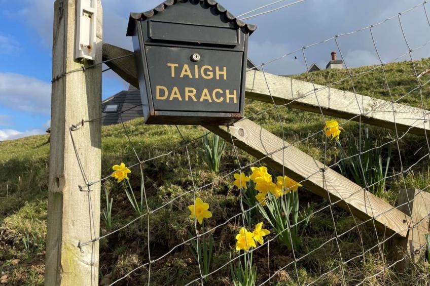 The Studio - foto 29