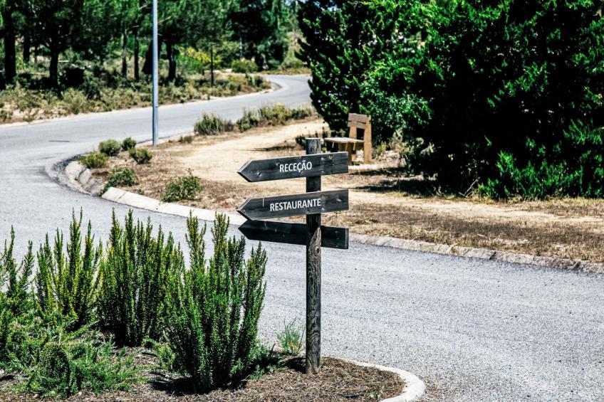 Herdade de Montalvo - foto 22