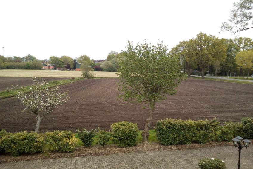 Fewo Schlingshöhe - foto 11