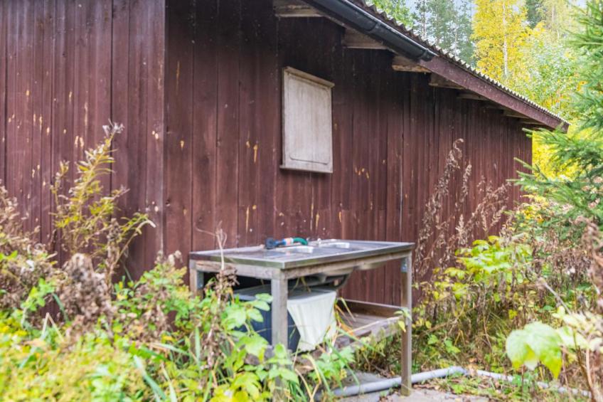 Rantalaukka - foto 34