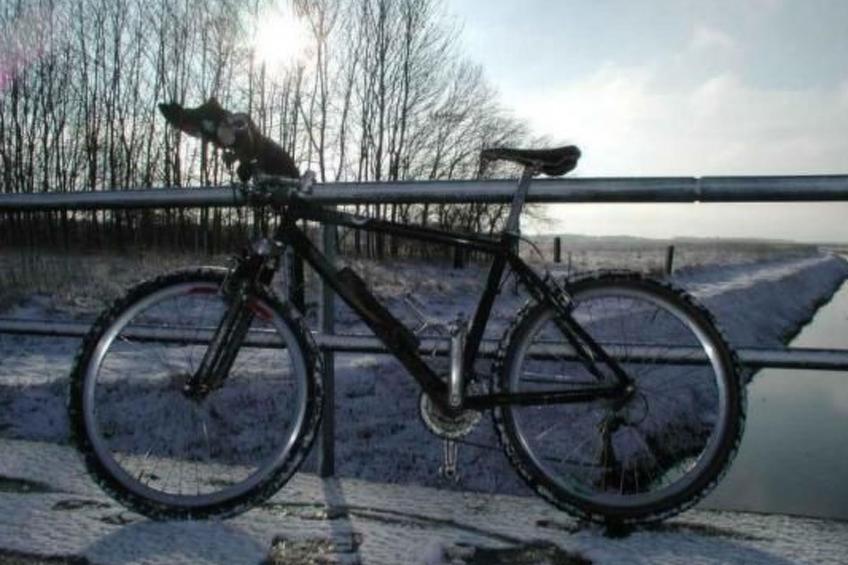 Vakantiehuis "Haus Talschänke" met terras - foto 17
