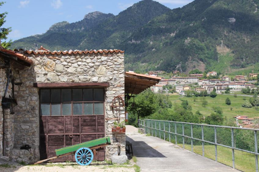 Fattoria La Tartufaia (TMO103) - foto 24