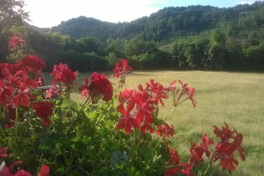 Argillasei - foto 32