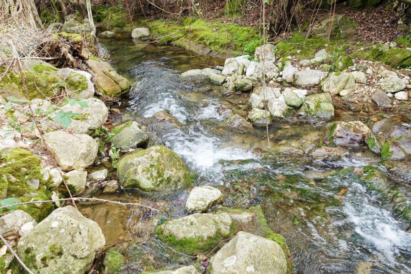 Gemütliches Landhaus Betania in Grazalema - foto 27