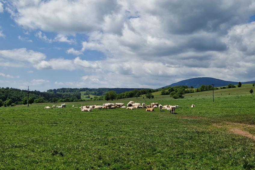 Švýcarka - foto 42