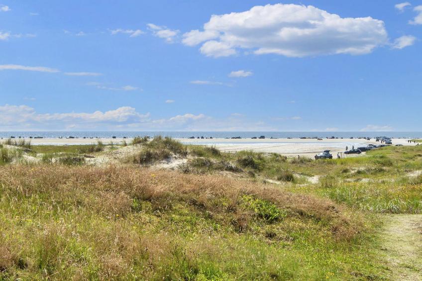 2 room w/nature view - foto 56