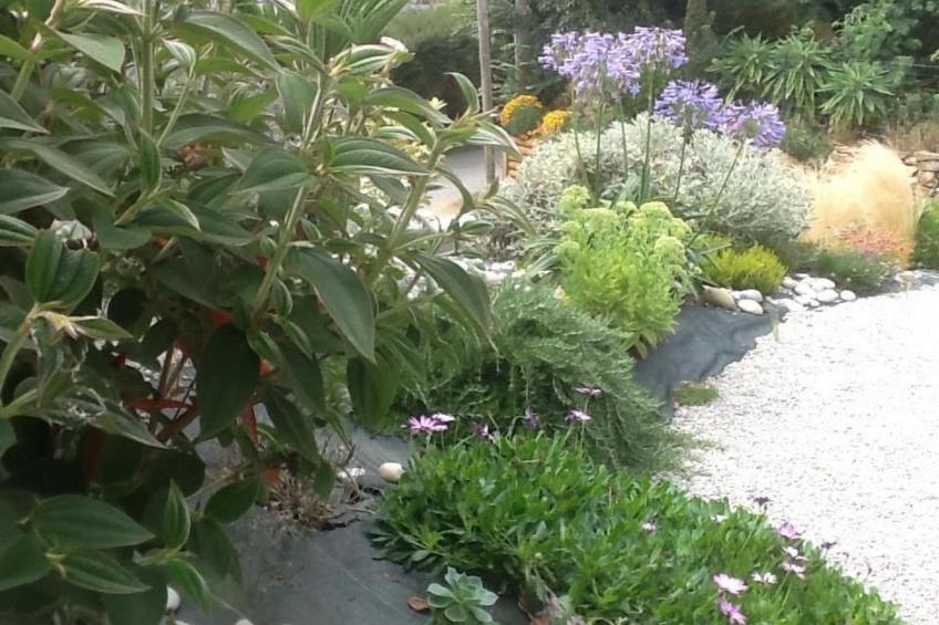 mit Blick auf das Wasser - foto 24