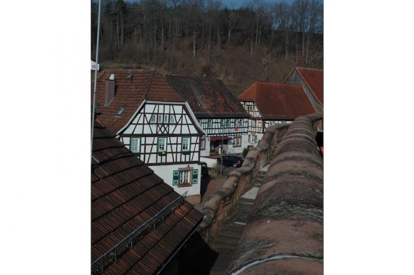 231512 - foto 29