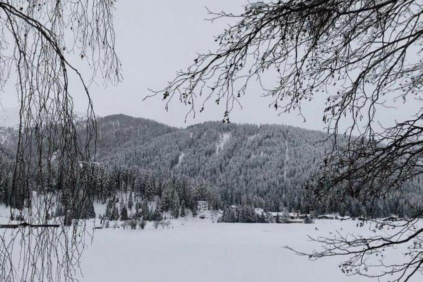 Residenz Davos von Swisspartments - foto 5