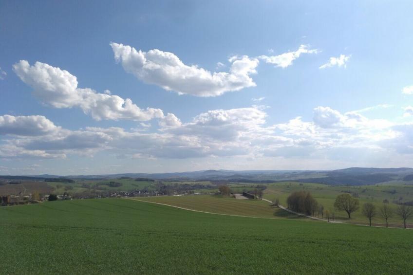 289818 - foto 20