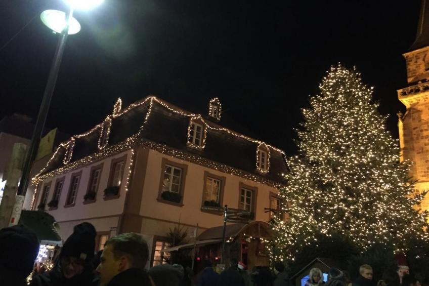 Schöndorf - foto 35