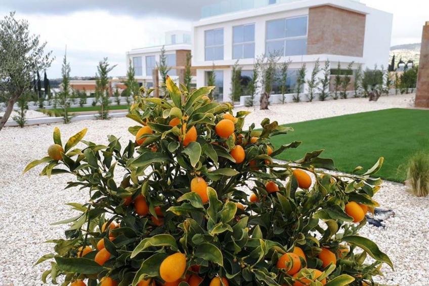 Coral Elite Residence mit Pool und Whirlpool - foto 5